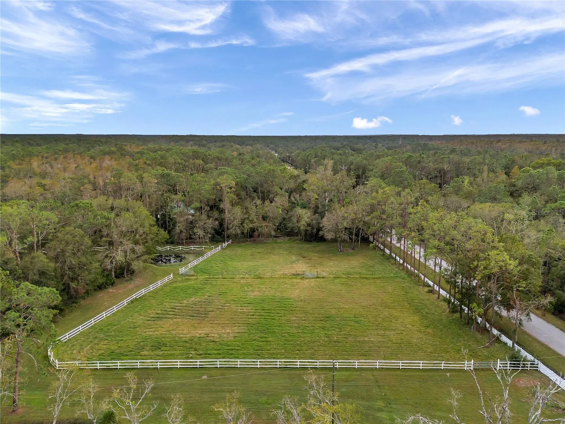 655 Appaloosa Road Tarpon Springs FL 34688