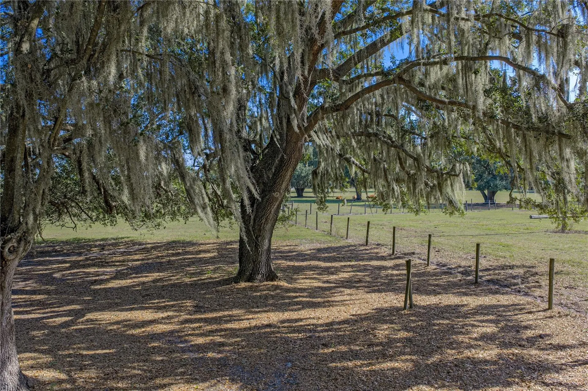 660 Old Bartow Lake Wales Road Bartow FL 33830
