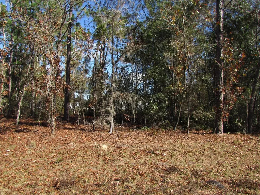 Lot 18 SW 156 Street Ocala FL 34473