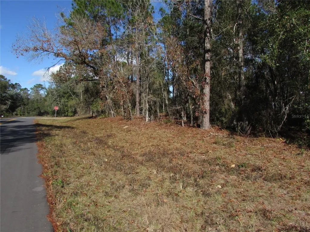 Lot 18 SW 156 Street Ocala FL 34473