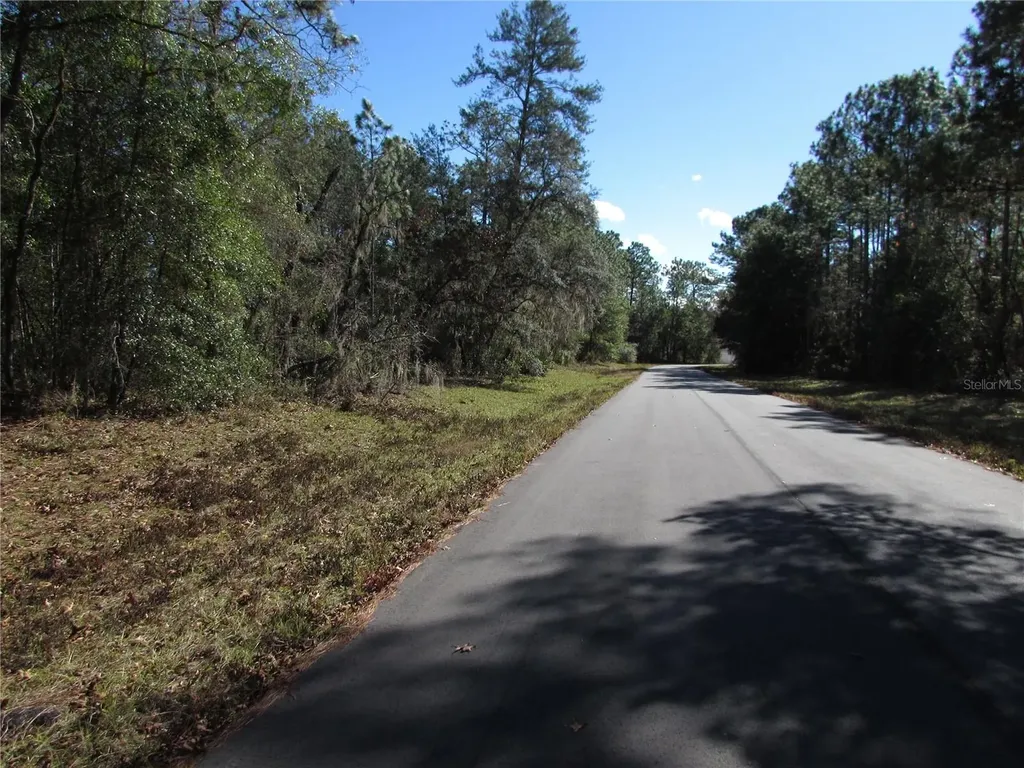 Lot 18 SW 156 Street Ocala FL 34473