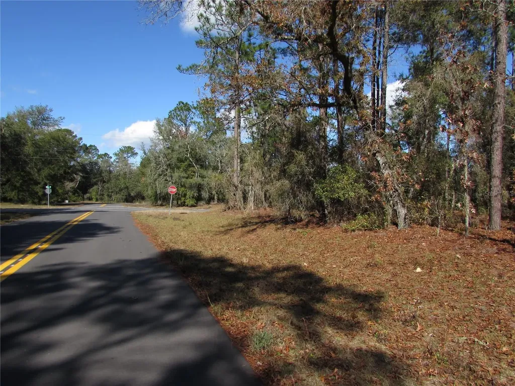 Lot 18 SW 156 Street Ocala FL 34473
