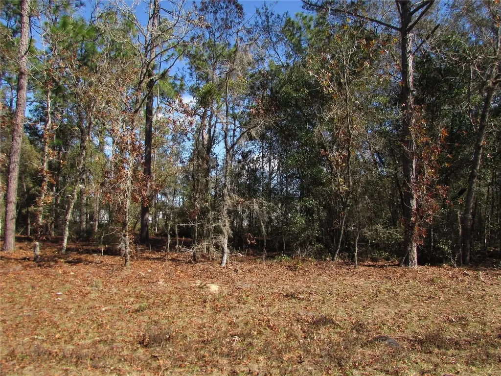 Lot 18 SW 156 Street Ocala FL 34473