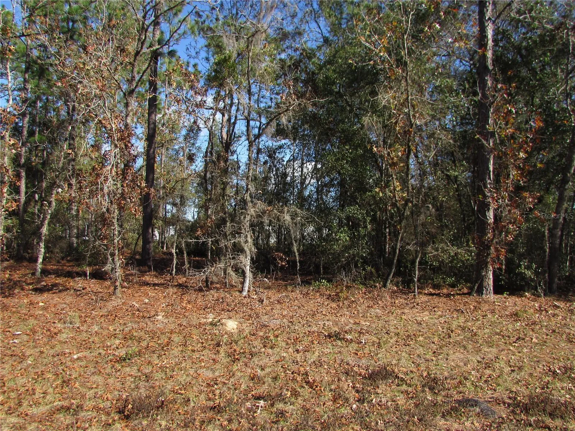 Lot 18 SW 156 Street Ocala FL 34473