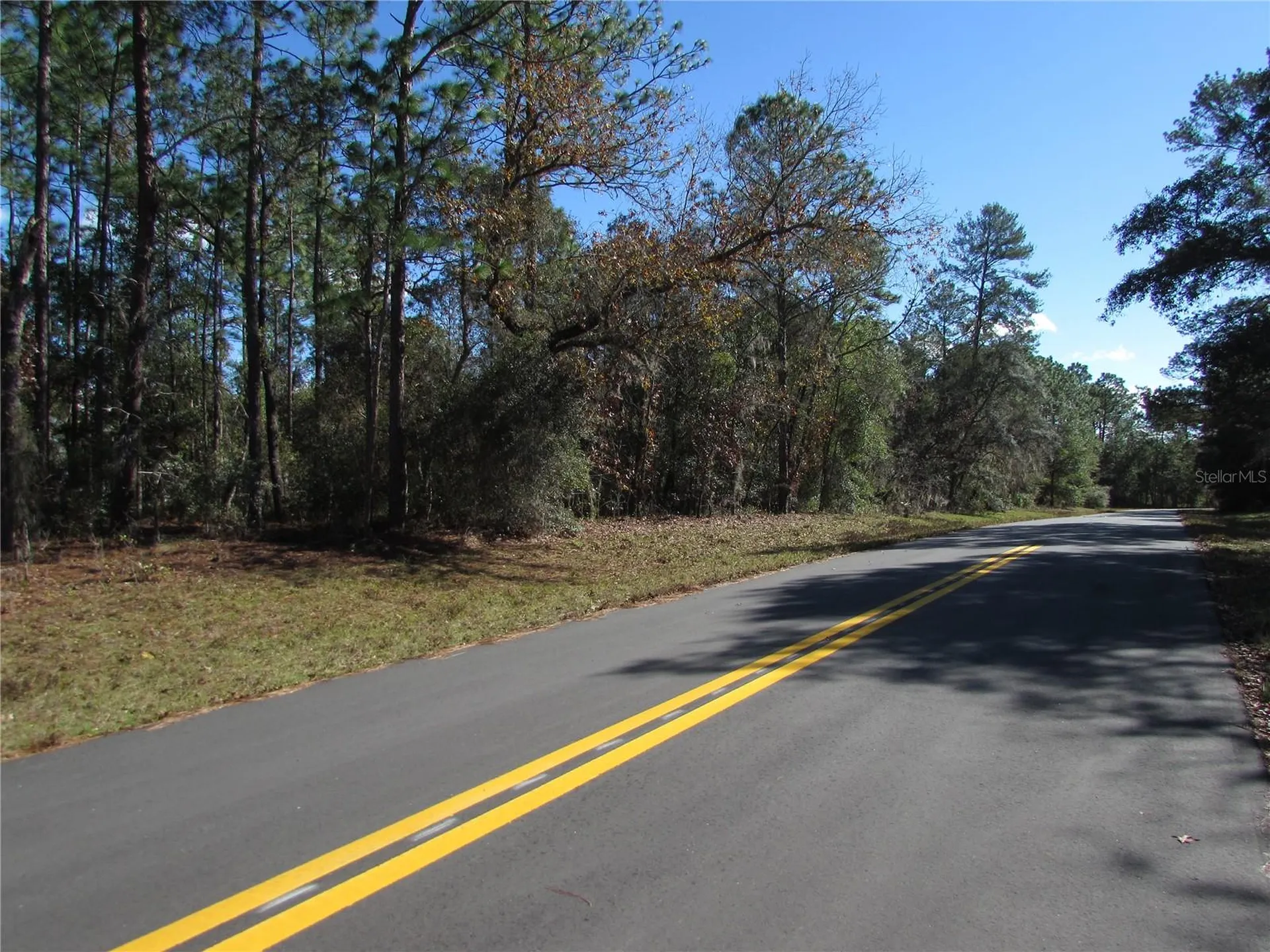 Lot 18 SW 156 Street Ocala FL 34473