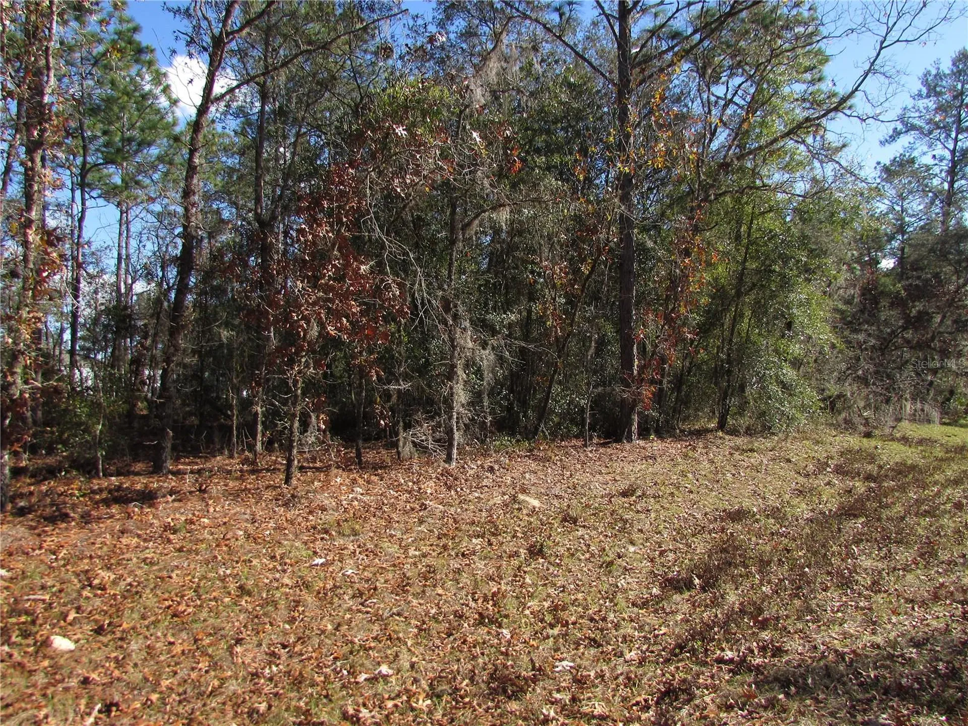 Lot 18 SW 156 Street Ocala FL 34473