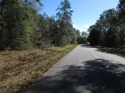 Lot 18 SW 156 Street Ocala FL 34473