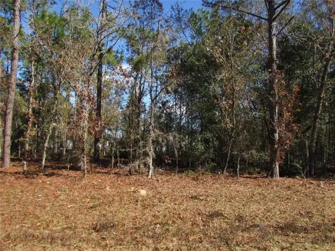 Lot 18 SW 156 Street Ocala FL 34473