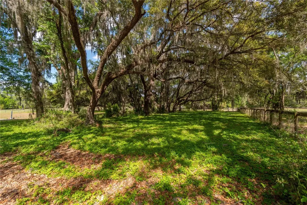6124 NW 160th Street Reddick FL 32686