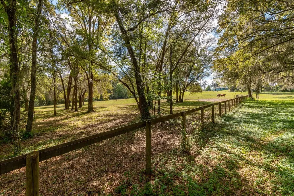 6124 NW 160th Street Reddick FL 32686