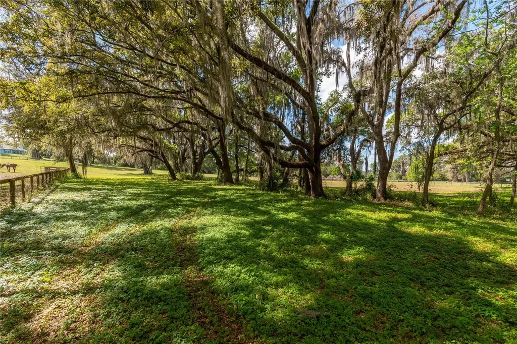 6124 NW 160th Street Reddick FL 32686