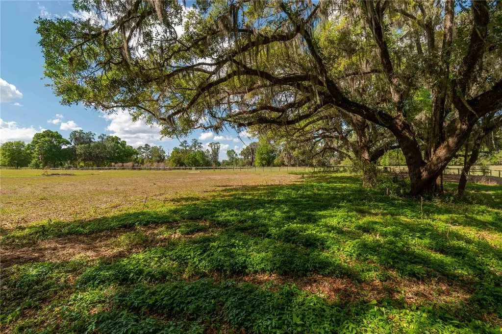 6124 NW 160th Street Reddick FL 32686