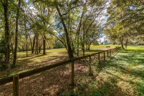 6124 NW 160th Street Reddick FL 32686