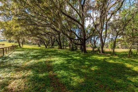 6124 NW 160th Street Reddick FL 32686