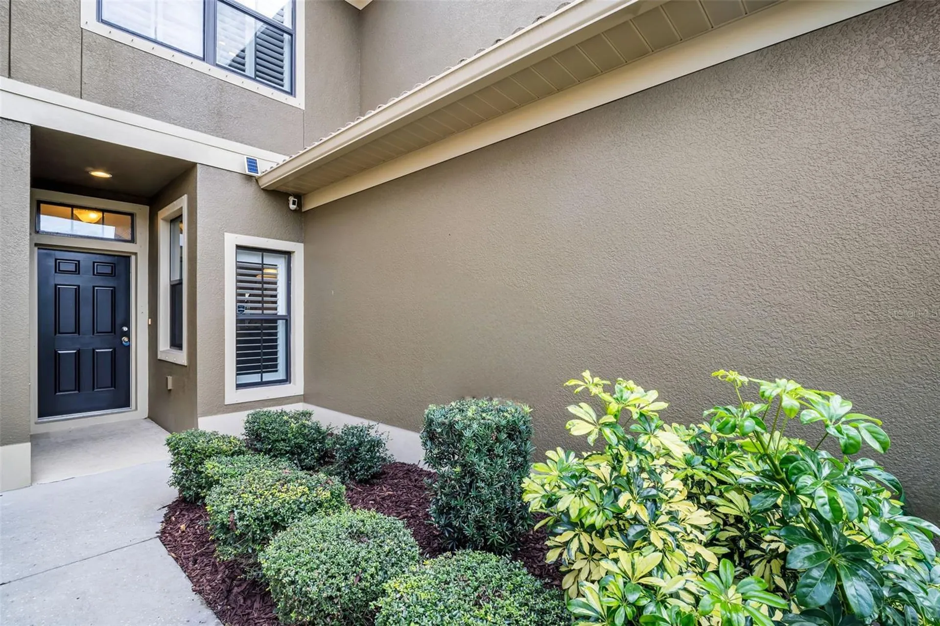 4739 Silverking Way Palm Harbor FL 34684
