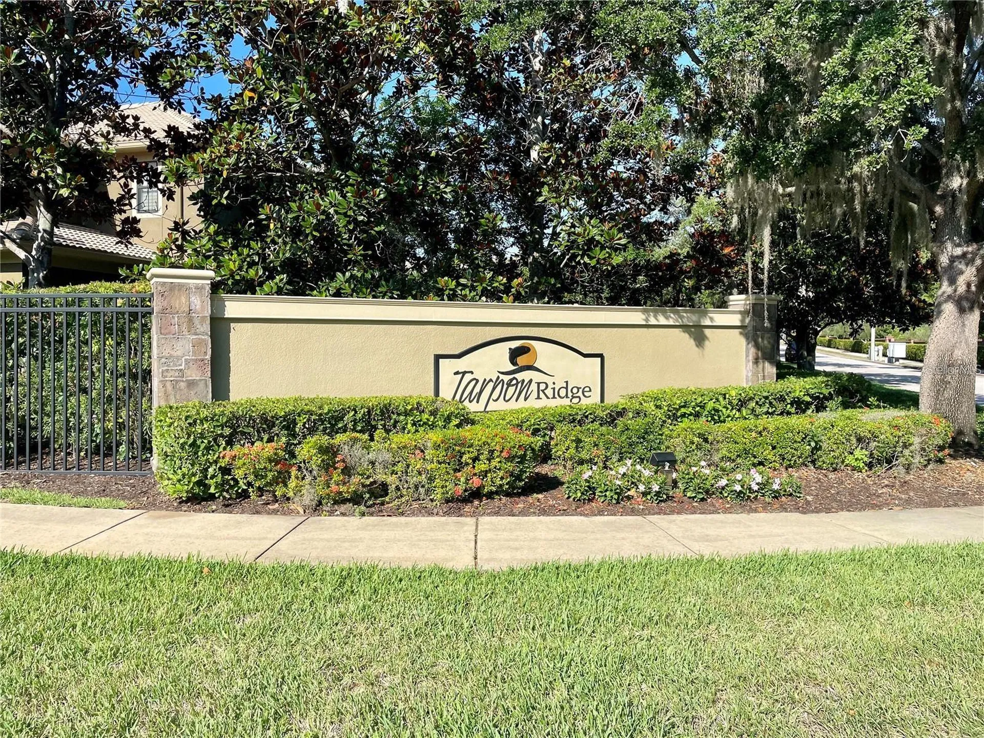 4739 Silverking Way Palm Harbor FL 34684