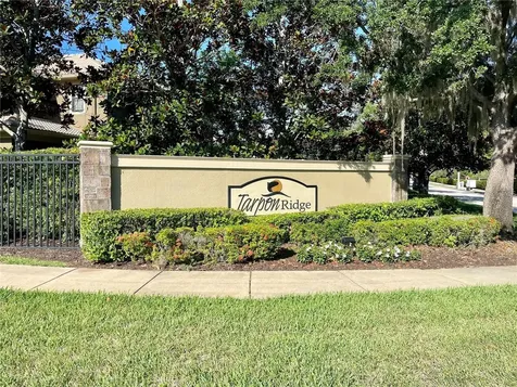 4739 Silverking Way Palm Harbor FL 34684