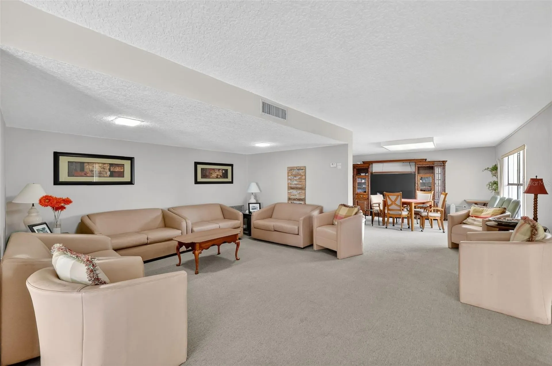 601 N Mcdonald Street Mount Dora FL 32757