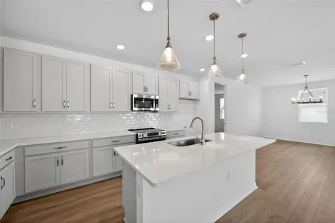 30116 Misty Pines Road Mount Dora FL 32757