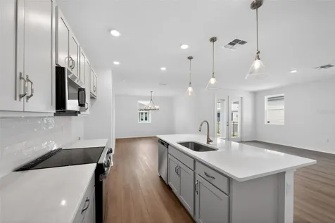 30116 Misty Pines Road Mount Dora FL 32757