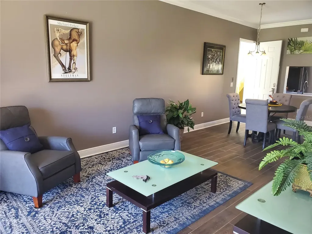 21032 Picasso Court Land O Lakes FL 34637
