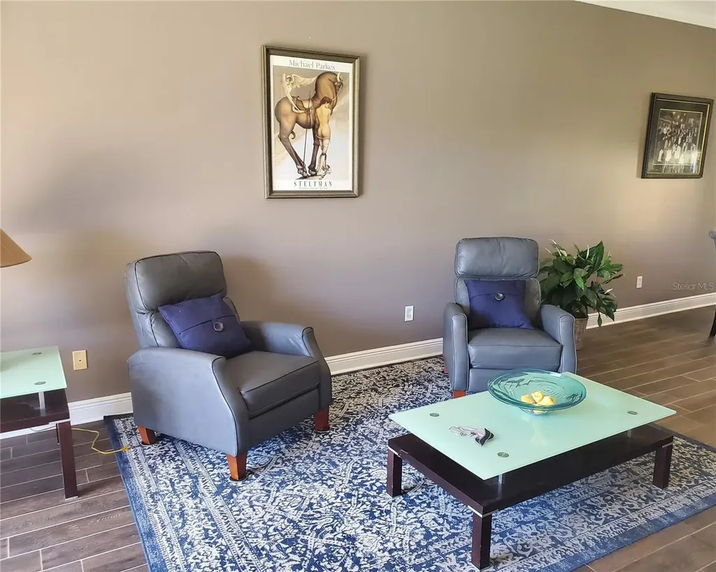 21032 Picasso Court Land O Lakes FL 34637