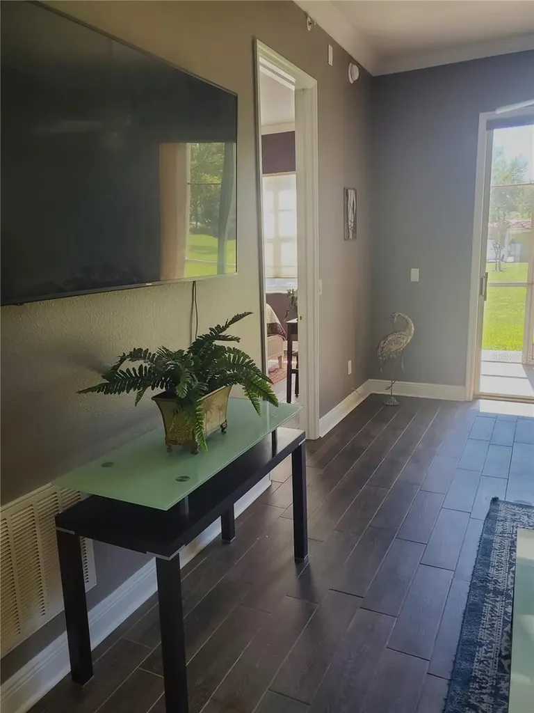 21032 Picasso Court Land O Lakes FL 34637