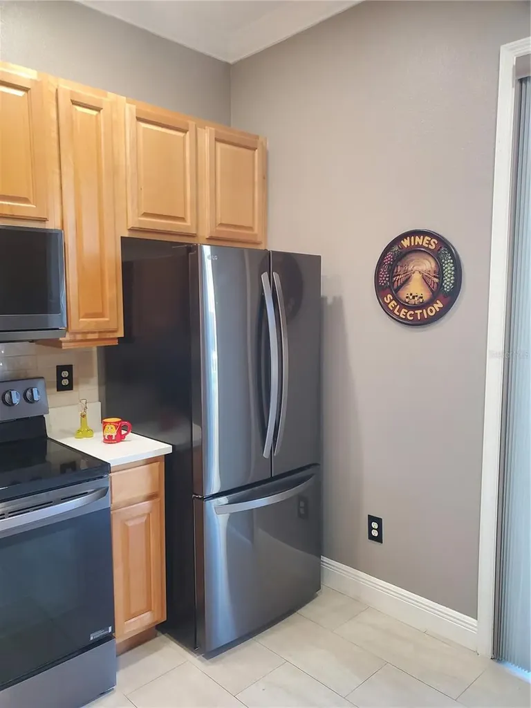 21032 Picasso Court Land O Lakes FL 34637