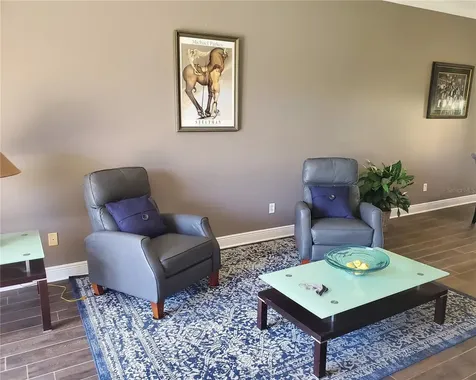 21032 Picasso Court Land O Lakes FL 34637