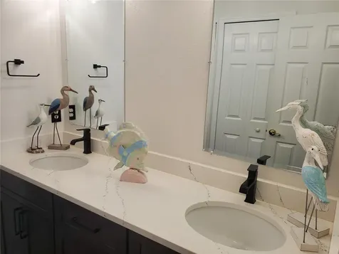 21032 Picasso Court Land O Lakes FL 34637