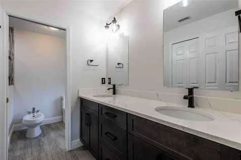 21032 Picasso Court Land O Lakes FL 34637