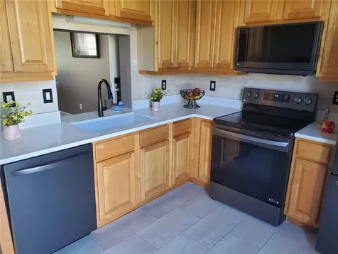 21032 Picasso Court Land O Lakes FL 34637