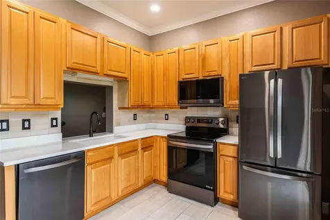 21032 Picasso Court Land O Lakes FL 34637
