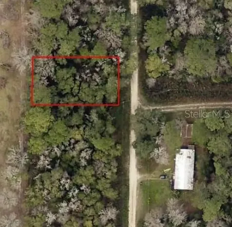Tbd SW 134th Court Ocala FL 34481