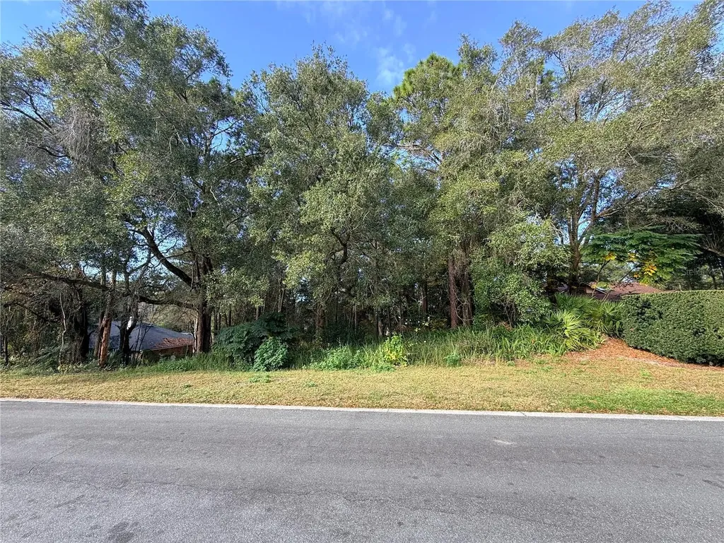 1482 Covered Bridge Drive Deland FL 32724