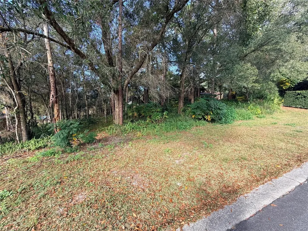 1482 Covered Bridge Drive Deland FL 32724