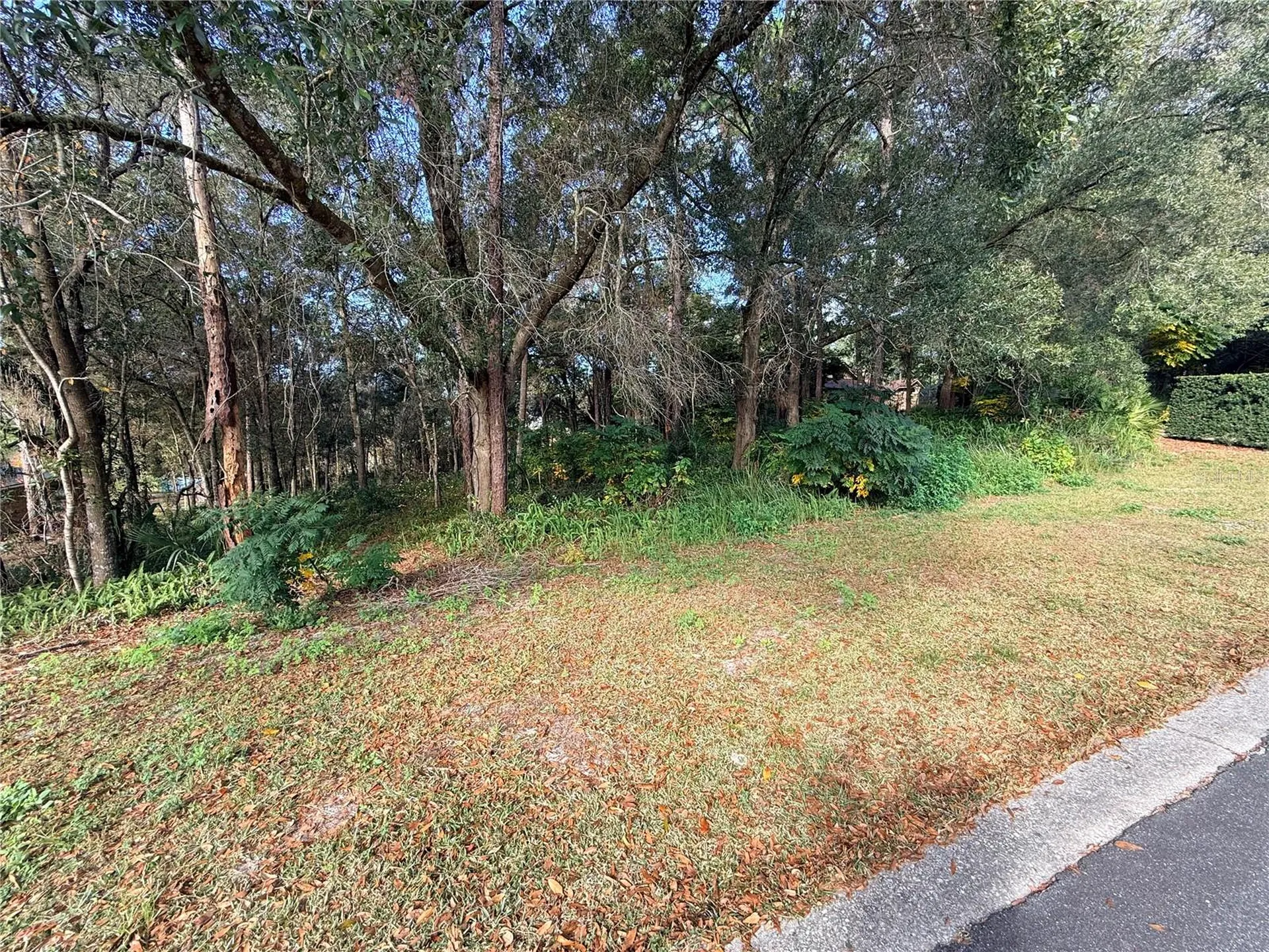 1482 Covered Bridge Drive Deland FL 32724