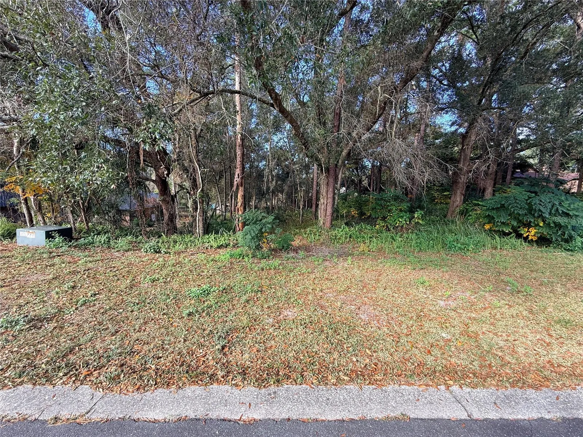 1482 Covered Bridge Drive Deland FL 32724