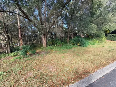 1482 Covered Bridge Drive Deland FL 32724
