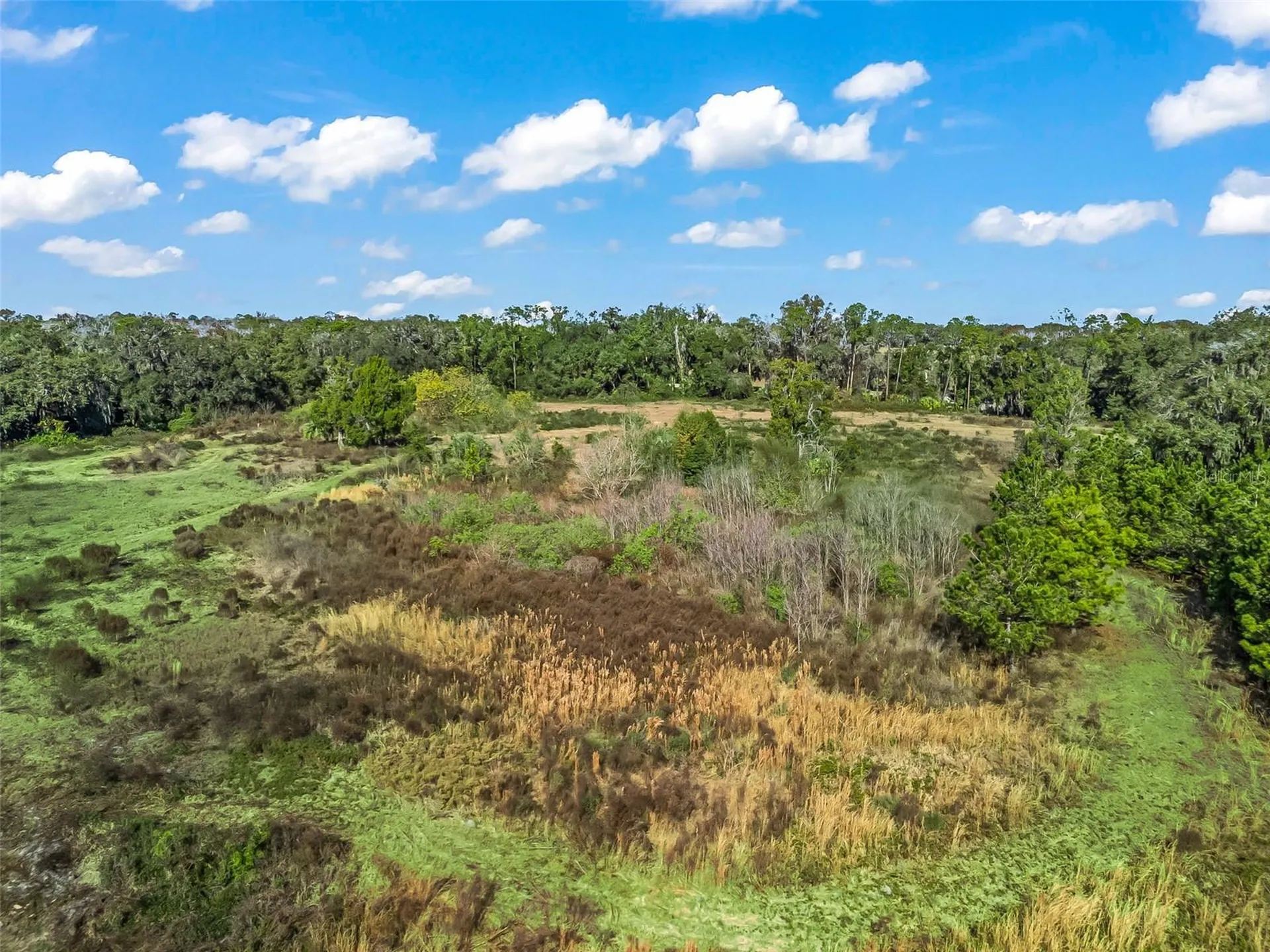 2082 Cr 44a Wildwood FL 34785