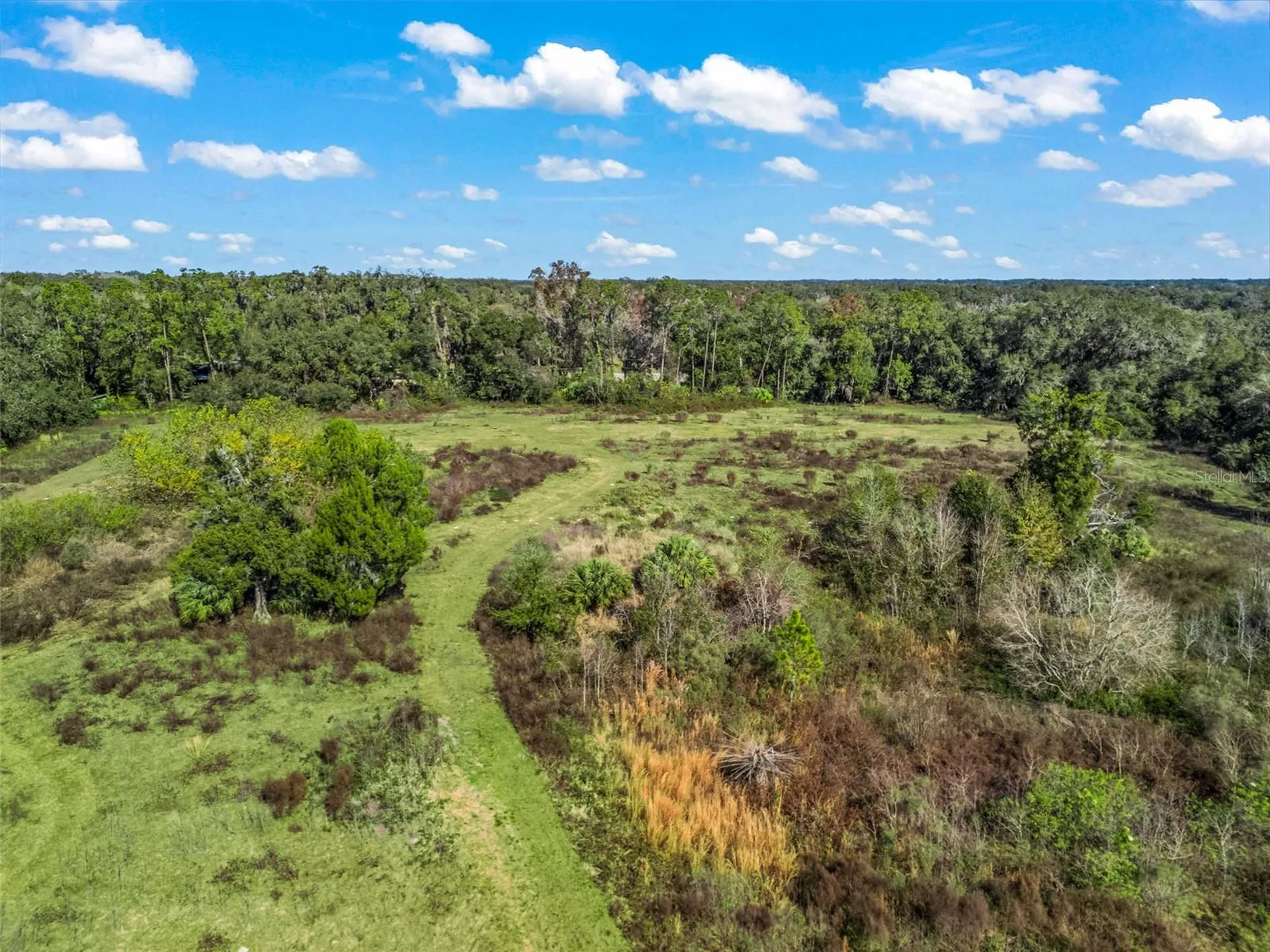 2082 Cr 44a Wildwood FL 34785