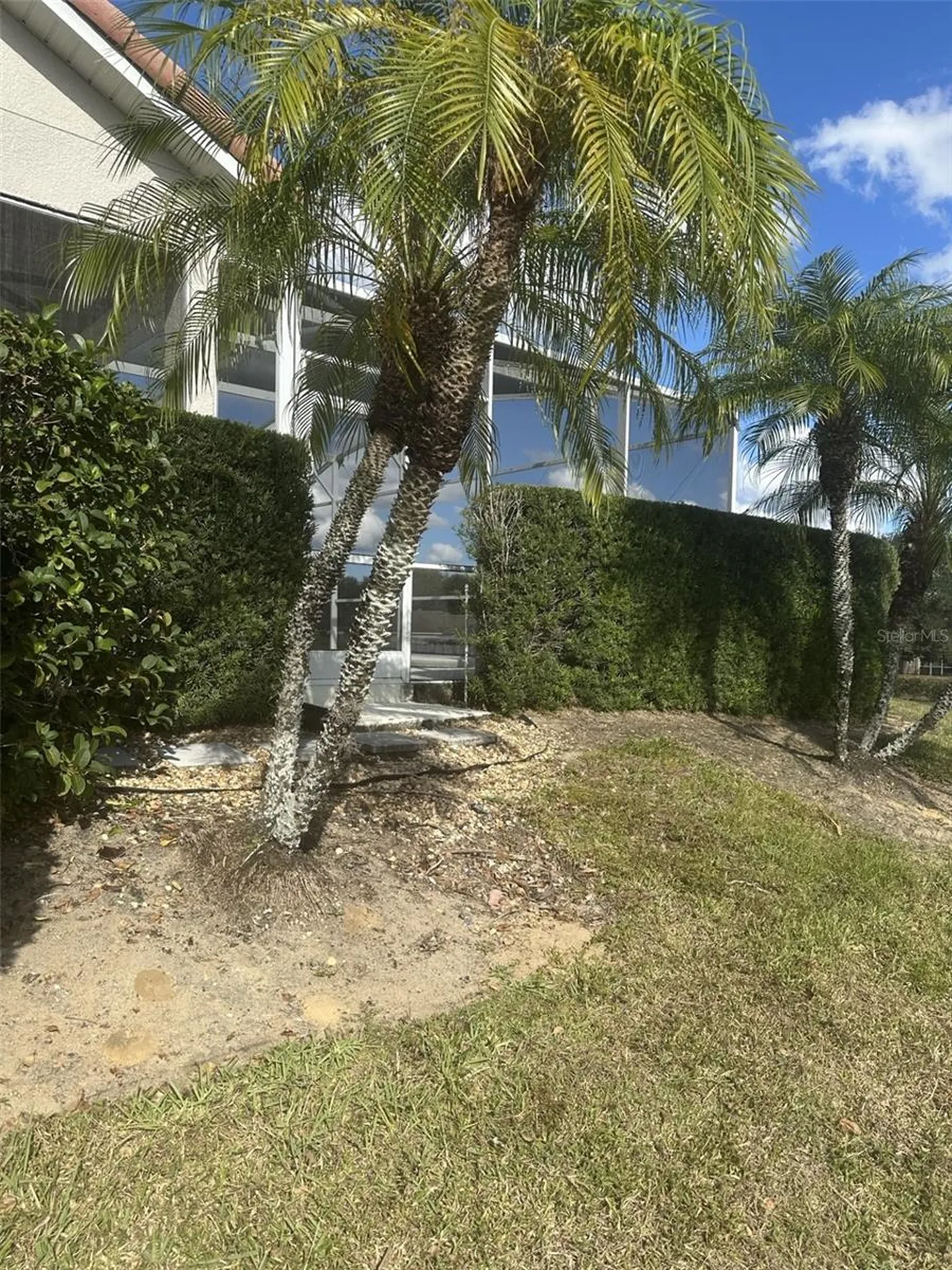 609 Brunello Drive Davenport FL 33897