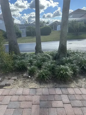 609 Brunello Drive Davenport FL 33897
