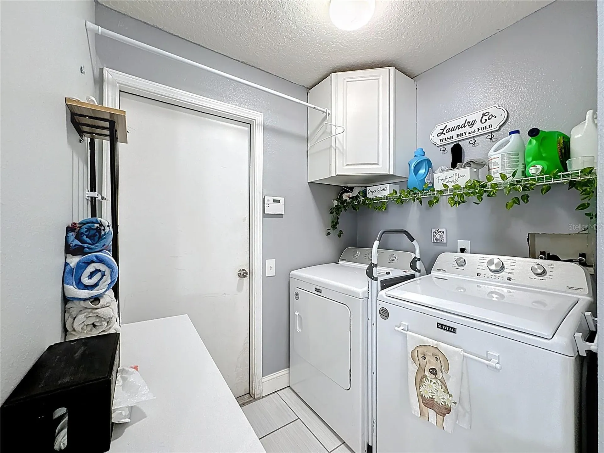 10406 Paragon Place Riverview FL 33578