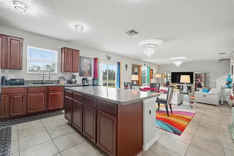 17206 White Mangrove Drive Wimauma FL 33598