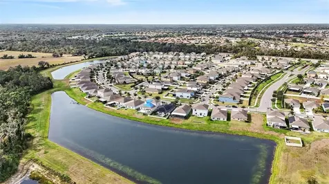 17206 White Mangrove Drive Wimauma FL 33598