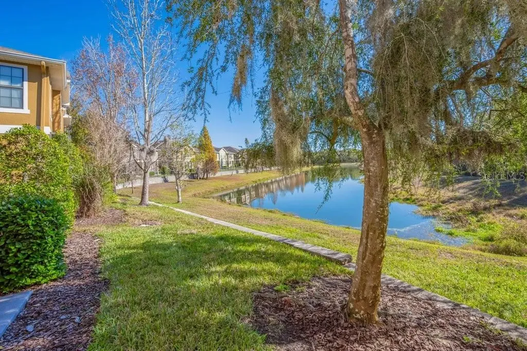 16431 Kingletridge Avenue Lithia FL 33547