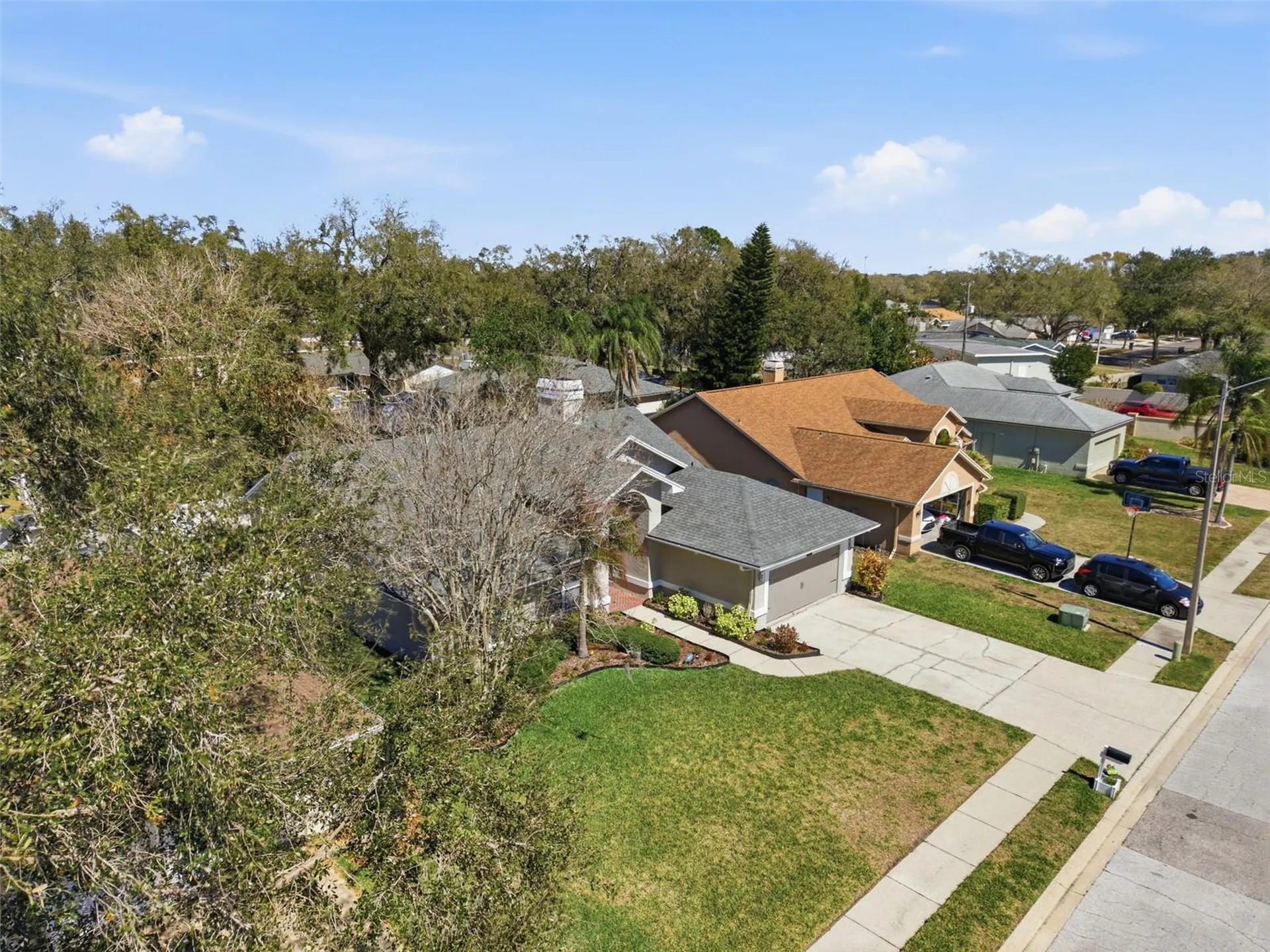 905 Clearcreek Drive Tampa FL 33613