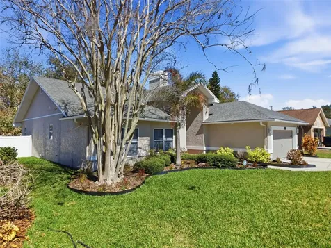 905 Clearcreek Drive Tampa FL 33613