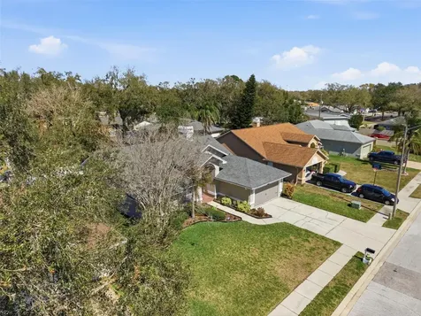 905 Clearcreek Drive Tampa FL 33613